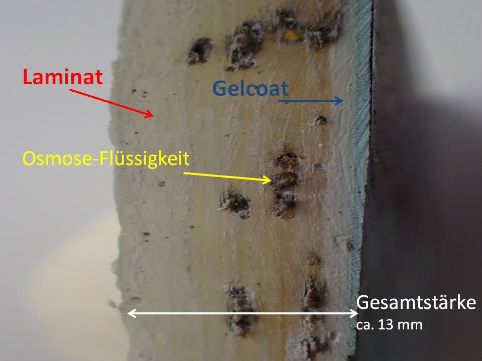 Osmoseschaden im Laminat-Querschnitt eines GfK-Bootes – Hohlräume zwischen Gelcoat und Laminat